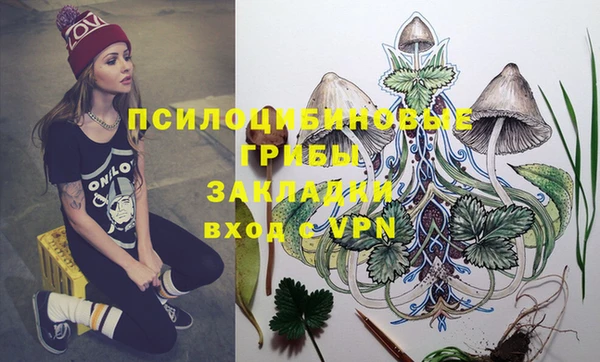 MESCALINE Аркадак