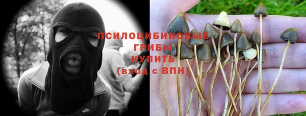 мескалин Арсеньев