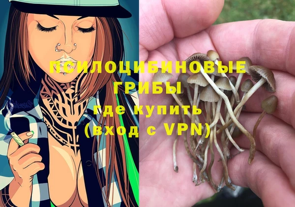 MESCALINE Аркадак