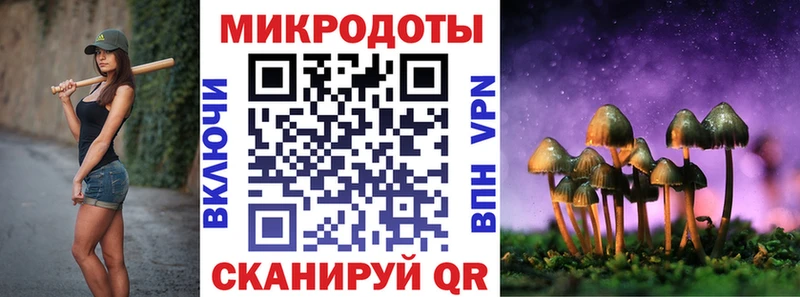 даркнет как зайти  Скопин  Галлюциногенные грибы Psilocybe 